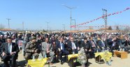 Toplulaştırmada mutlu son