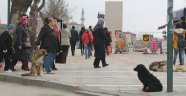 Vatandaşı tedirgin ediyor