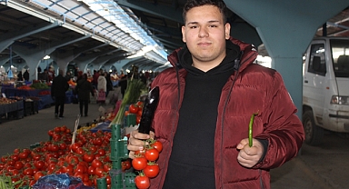 5 ADET PATLICAN 40 LİRA