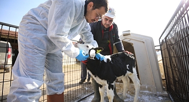 AŞILAMA ÇALIŞMALARI HIZLI ŞEKİLDE SÜRÜYOR